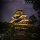 闇夜の鯉城