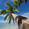 SIAMIL　ISLAND③