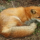 旭山動物園・１