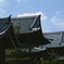 都(みやこ)の風景２
