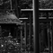 稲荷-森の中で-