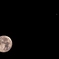 月と木星の接近