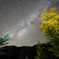 NZ6_5810_01