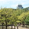 大阪城（梅園より）