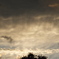 DSCF5472