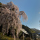 梅岩寺と桜