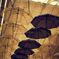 Escape the Rain