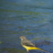 IMGP0838
