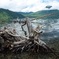 支笏湖