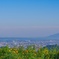 長岡市東山ファミリーランドの「花と緑の広場」