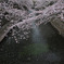 散りゆく流れ