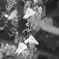 R0018983
