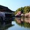 平安神宮春景色