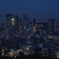 東京タワーからの景色