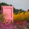 The door