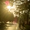 夕方の大通り公園5