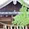守り神