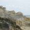 RA039581