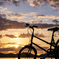 自転車と夕日