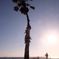 California
