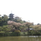 春の日本庭園と大池