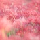 B81601A6-305D-418F-A2A0-5A1BBBC76D20