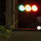 Signal