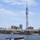 DSC_6465