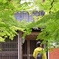 もう少し待ててね〜＾＾