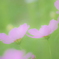 帰り際