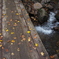 PA080223