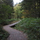 PA080305