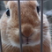 ん？