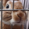 おやつのじかん