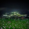 夜景