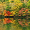湯ノ湖　紅葉