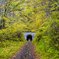 落葉の隧道