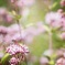 453C8F51-AA8C-4375-BED3-BF51429EF669