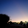 夕方
