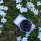 NEX-3