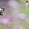この花に決めた〜‼︎