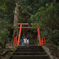 巨大杉の森にある山王神社へ