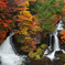 秋彩竜頭の滝