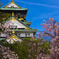 大阪城と桜