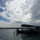 Rose Bay