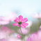 F15778A3-87B1-427D-BEB6-9DFEC25365CF