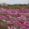 D266A947-665B-4183-9A59-566620E1A68F