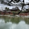 宇治　平等院