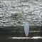 眩しく光る方に