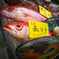 沖縄の鮮魚たち